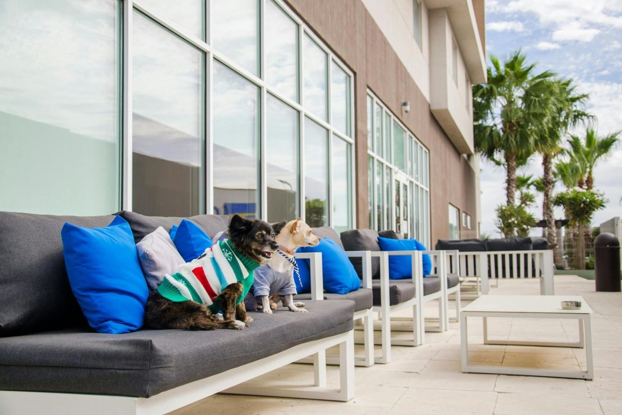 Courtyard By Marriott Hermosillo Exterior photo
